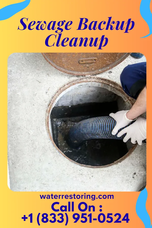 Sewage Backup Cleanup in Fairview, VA